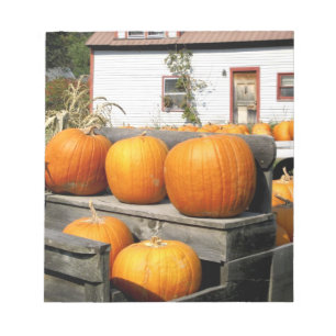 Bloc-note États-Unis, Vermont. Citrouilles