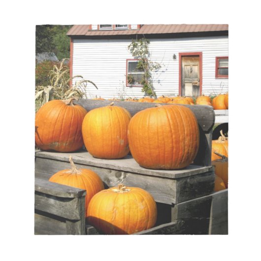 Bloc-note États-Unis, Vermont. Citrouilles (Devant)
