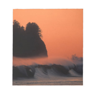Bloc-note États-Unis, Washington, Olympic National Park, Se