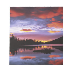 Bloc-note États-Unis, Washington, Parc national du mont Rain