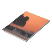 Bloc-note États-Unis, Washington, Parc National Olympique, M (Tourné)