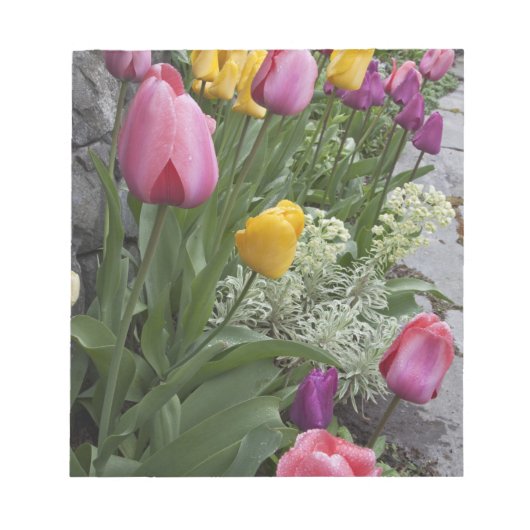 Bloc-note États-Unis, Washington, Seabeck. Des tulipes borde (Devant)