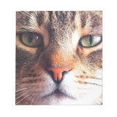 Bloc-note Face de chat (Devant)
