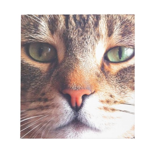 Bloc-note Face de chat (Devant)