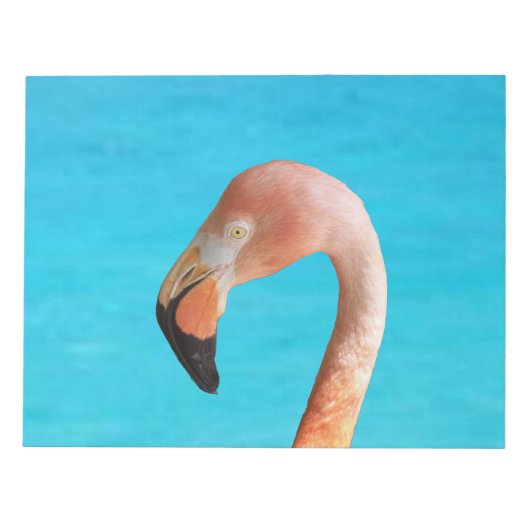 Bloc-note Face flamingo rose contre eau bleue sur (Devant)
