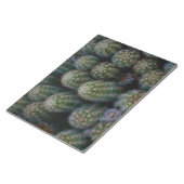 Bloc-note Famille Cactus (Incliné)