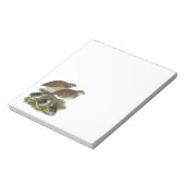 Bloc-note Famille Coturnix Quail (Tourné)