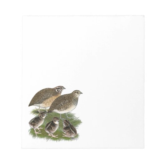 Bloc-note Famille de cailles Coturnix (Devant)