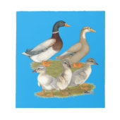 Bloc-note Famille de canards de Saxe (Devant)