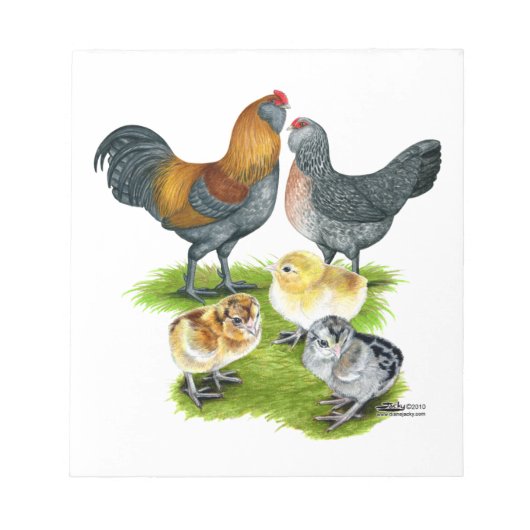 Bloc-note Famille de poules Ameraucana (Devant)