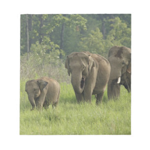 Bloc-note Famille d'éléphants indiens