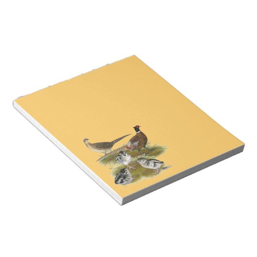Bloc-note Famille Pheasant Ringneck (Incliné)