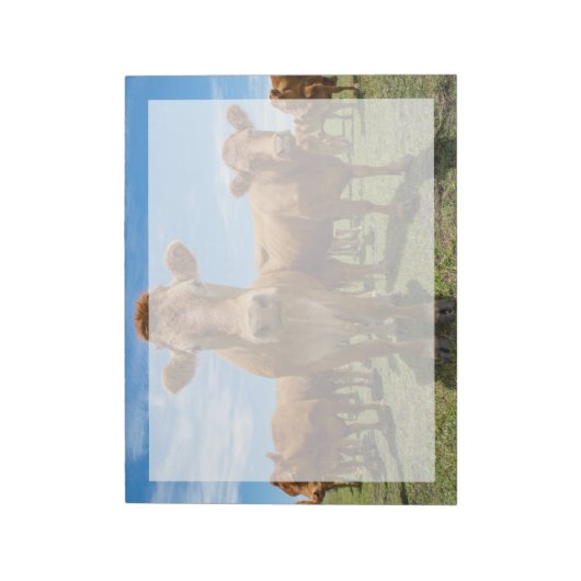 Bloc-note Farms | Brown cow (Tourné)