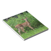 Bloc-note Faune devant une clôture (Incliné)