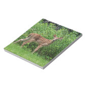 Bloc-note Faune devant une clôture (Tourné)