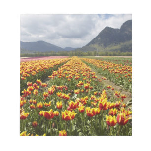 Bloc-note Ferme de tulipes près d'Agassiz, Colombie-Britanni