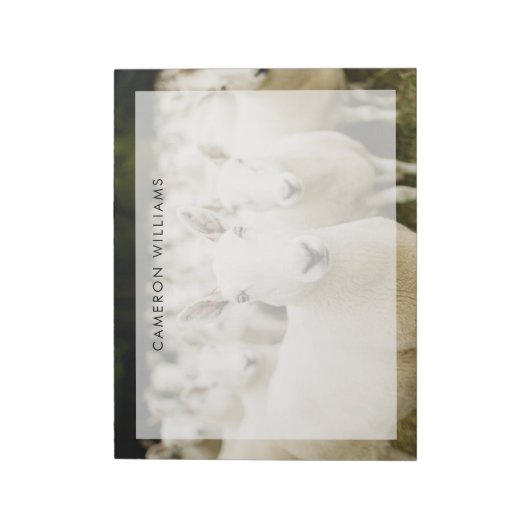 Bloc-note Fermes | Troupeau de moutons (Tourné)