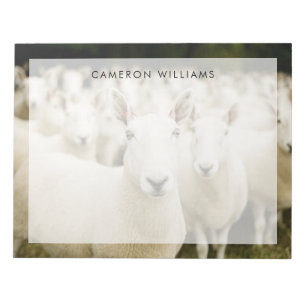 Bloc-note Fermes Troupeau de moutons