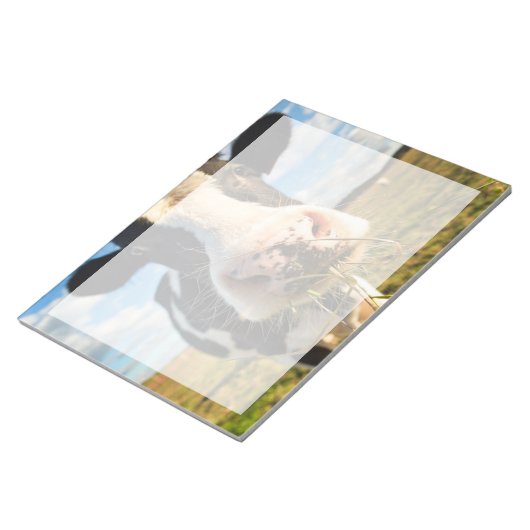 Bloc-note Fermes | Vache Holstein Chewing (Incliné)