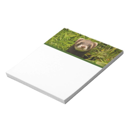 Bloc-note Ferret Brown dans l'herbe (Tourné)