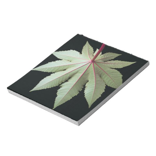 Bloc-note Feuille et tige (Tourné)