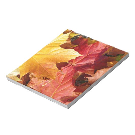 Bloc-note Feuilles d'automne - Etonnant! (Tourné)