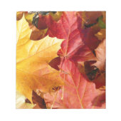 Bloc-note Feuilles d'automne - Etonnant! (Devant)