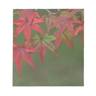 Bloc-note Feuilles d'érable, Katsura, Kyoto, Japon