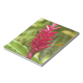 Bloc-note Fidji, île de Viti Levu. Fleur. (Tourné)