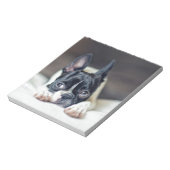 Bloc-note Fina the Boston Terrier (Tourné)