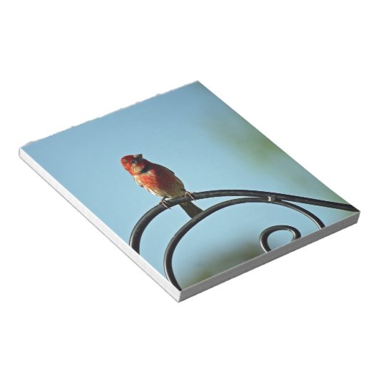 Bloc-note Finition rouge sur pôle en fer forgé noir (Incliné)