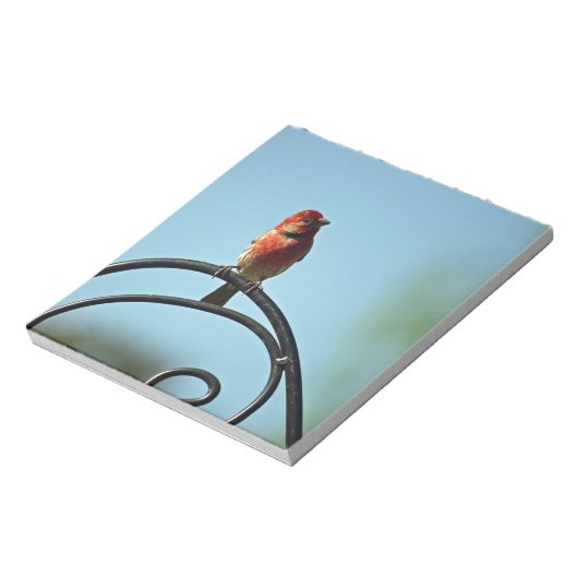 Bloc-note Finition rouge sur pôle en fer forgé noir (Tourné)