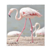 Bloc-note Flamant rose marchant au sol (Devant)