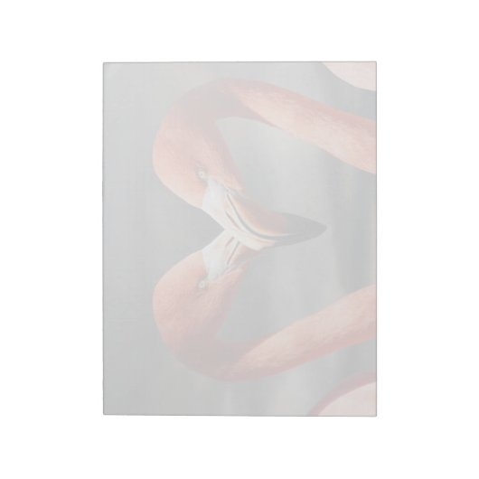 Bloc-note Flamant rose Valentine (Tourné)