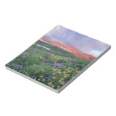 Bloc-note Fleabane pourpre (erigeron peregrinus) et Jaune (Tourné)