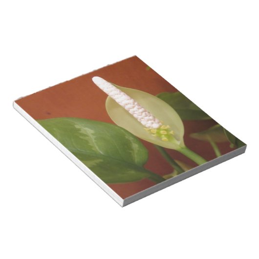 Bloc-note Fleur À feuillage persistant chinoise (Incliné)