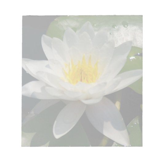 Bloc-note Fleur blanche de lotus (Devant)