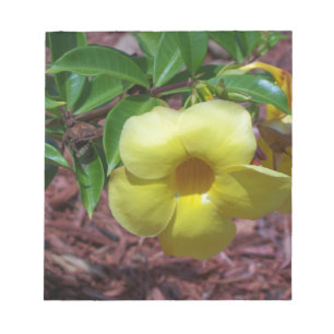 Bloc-note Fleur d'Alamanda jaune