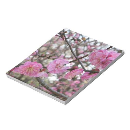 Bloc-note Fleur de cerisier rose / Sakura / ク(桜) (Tourné)