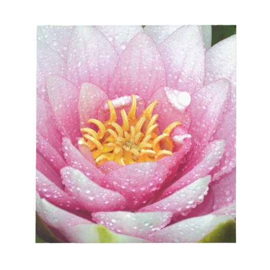 Bloc-note Fleur de lys d'eau PInk (Devant)