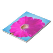 Bloc-note fleur de pétunia rose sur fond bleu. (Tourné)