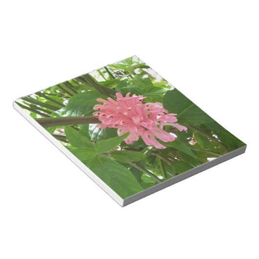 Bloc-note Fleur de plume brésilienne (Incliné)