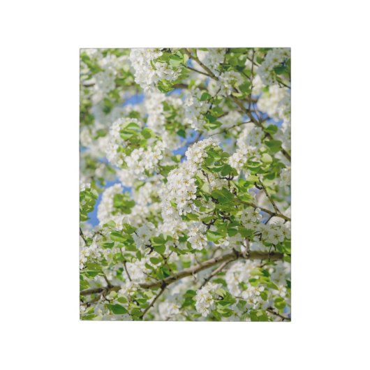 Bloc-note Fleur de pomme de crabe (Tourné)