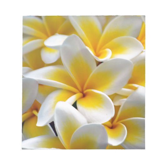 Bloc-note Fleur Frangipani Plumeria (Devant)