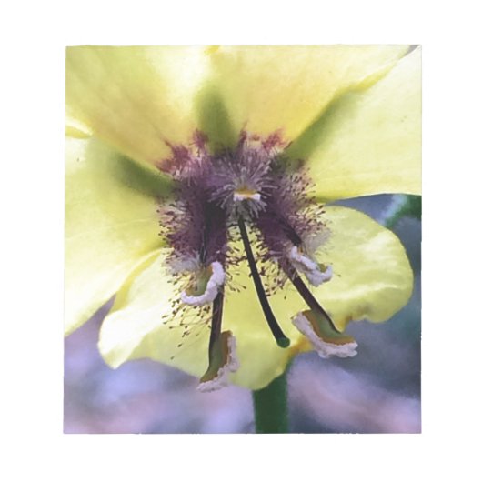 Bloc-note Fleur jaune 3 (Devant)