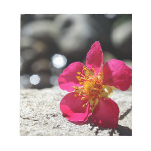 Bloc-note Fleur rose mystérieuse