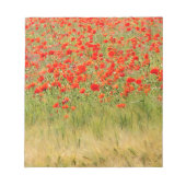Bloc-note fleur rouge d'été (Devant)