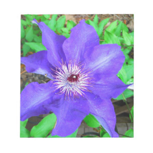 Bloc-note Fleur violette Clematis