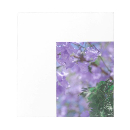 Bloc-note Fleurs d'arbre pourpres Jacaranda (Devant)