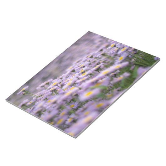 Bloc-note Fleurs d'aster violet (Incliné)